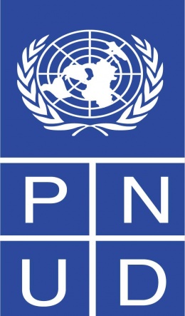 United Nations Development Programme